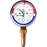 00000002330, Thermomanometer TMTB-31R.1 (0-120C) (0-1.6MPa) DC80 L=46, G1/2 ...