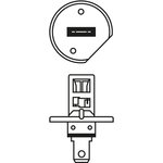 1987302860, Lamp 24V H1 70W P14.5s Eco Truck BOSCH
