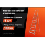 Stepladder of 8 steps with a width of 130 mm, PROFI AAA-10