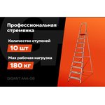 Stepladder of 10 steps with a width of 130 mm, PROFI AAA-08