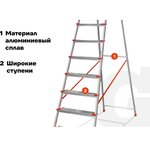 Stepladder of 10 steps with a width of 130 mm, PROFI AAA-08