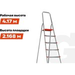 Stepladder of 10 steps with a width of 130 mm, PROFI AAA-08