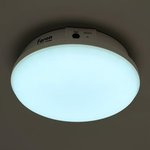 LED lamp AL3025 with BAP in a plastic case 12W 4000K IP65 white, 48985